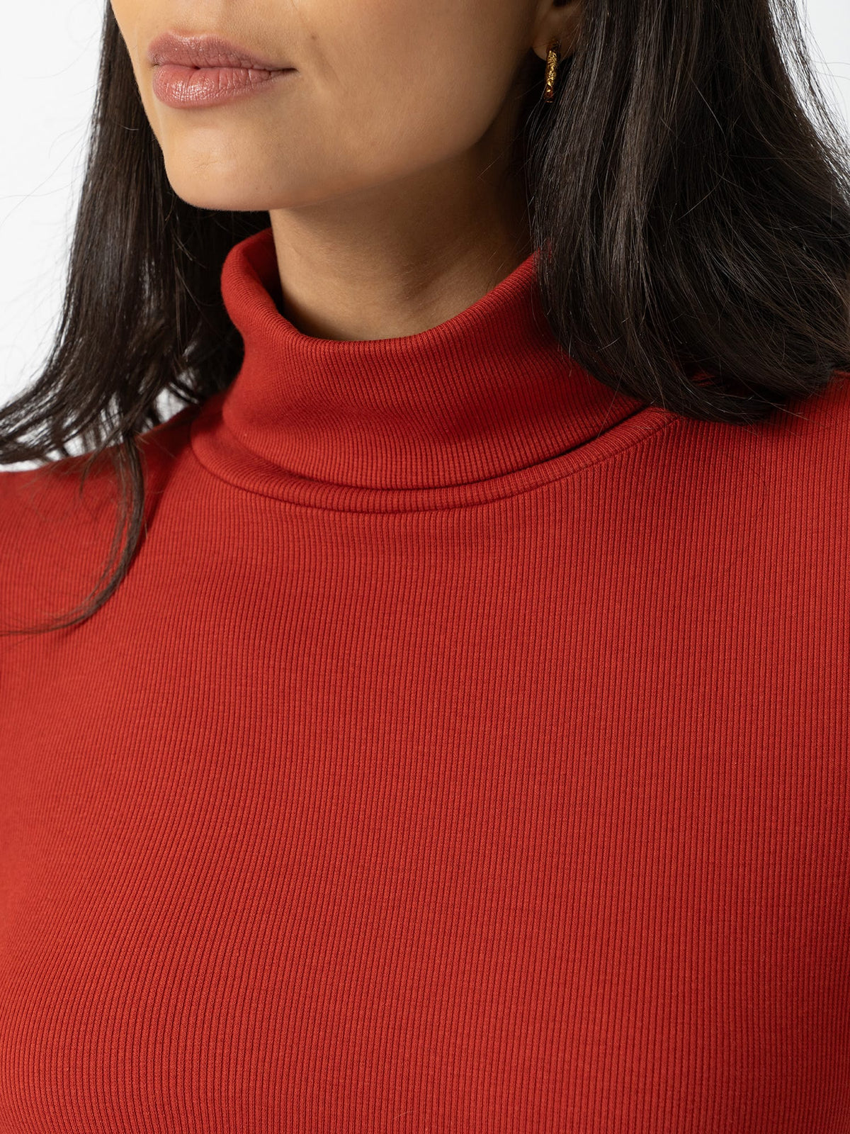 Ribbed Roll Neck - Rust
